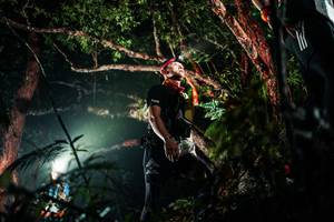 BIB: 
                            <button type="button" onclick="openModal(26294871)" class="btn btn-primary btn-sm float-right btn-popup" data-toggle="modal" data-target=".modal-high-quality">
                        <i class="fas fa-shopping-cart"></i> Add to Cart
                    </button>
                                            <button type="button" onclick="isThisMe(26294871, true)" class="btn btn-success btn-sm float-right btn-popup btn-isme hidden" data-toggle="tooltip" data-placement="bottom" title="นี่คือรูปของคุณใช่ไหม คลิกที่นี่เพื่อเอาเข้าอัลบั้ม">
                        <i class="fas fa-plus"></i> Add to album
                    </button>
                    <button type="button" onclick="isThisMe(26294871, false)" class="btn btn-warning btn-sm float-right btn-popup btn-isnotme hidden">
                        <i class="fas fa-ban"></i> Remove from album
                    </button>